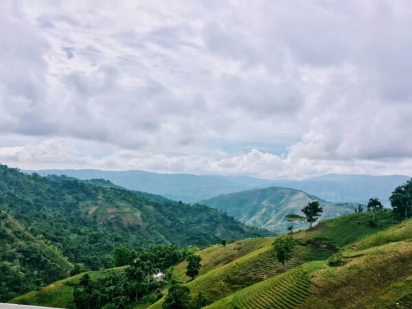 Champ verdoyant sous les nuages, Haïti
