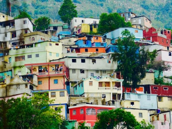 Maisons au milieu des arbres en Haïti